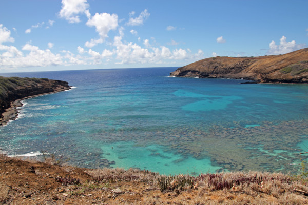 f:id:mamimami_LA:20100903121559j:image