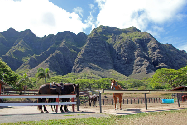 f:id:mamimami_LA:20100903170741j:image