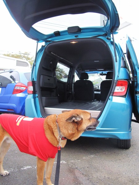 f:id:mamimami_LA:20101023225029j:image