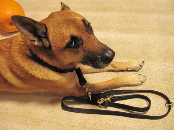 f:id:mamimami_LA:20101101201329j:image