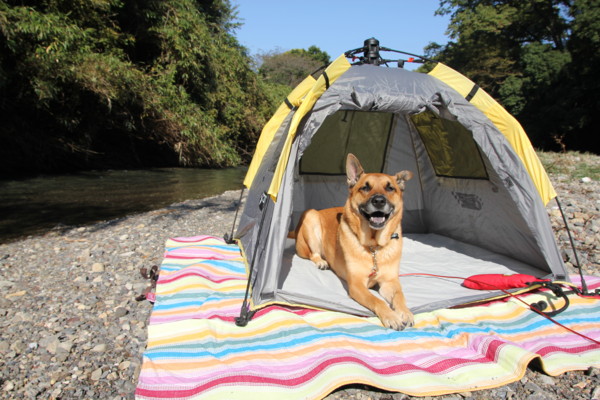 f:id:mamimami_LA:20101106122752j:image f:id:mamimami_LA:20101106122752j:image