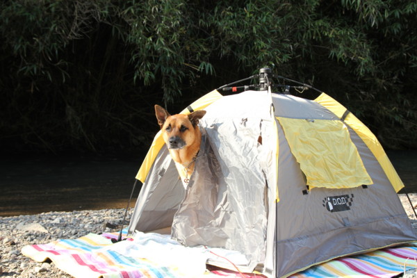 f:id:mamimami_LA:20101106134603j:image f:id:mamimami_LA:20101106134603j:image