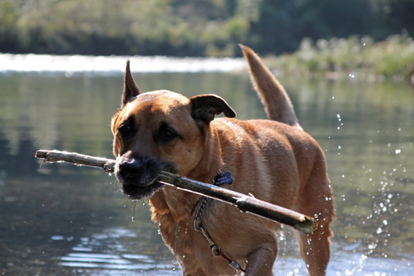 f:id:mamimami_LA:20101106193803j:image f:id:mamimami_LA:20101106193803j:image