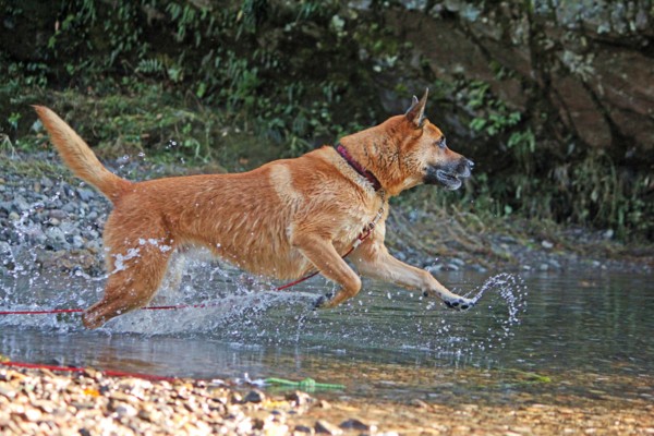 f:id:mamimami_LA:20101106195427j:image f:id:mamimami_LA:20101106195427j:image