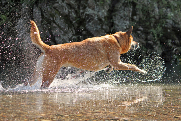 f:id:mamimami_LA:20101106195428j:image f:id:mamimami_LA:20101106195428j:image