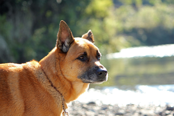 f:id:mamimami_LA:20101106201141j:image f:id:mamimami_LA:20101106201141j:image