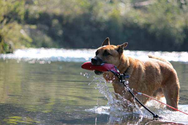 f:id:mamimami_LA:20101106201428j:image f:id:mamimami_LA:20101106201428j:image