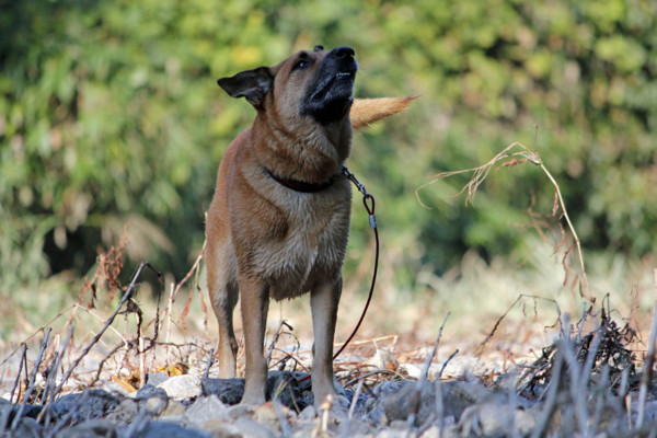 f:id:mamimami_LA:20101106201637j:image f:id:mamimami_LA:20101106201637j:image