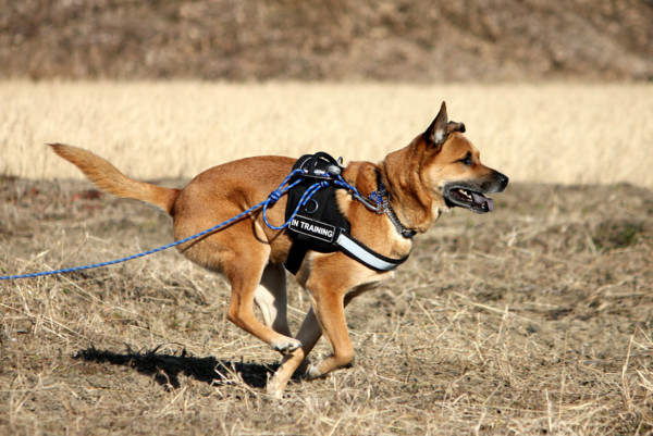 f:id:mamimami_LA:20110109215446j:image f:id:mamimami_LA:20110109215446j:image