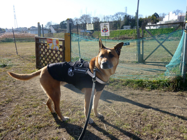 f:id:mamimami_LA:20110120095219j:image f:id:mamimami_LA:20110120095219j:image