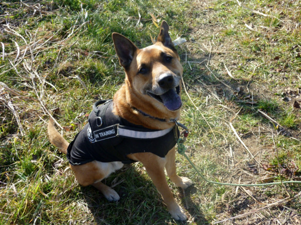 f:id:mamimami_LA:20110121095626j:image