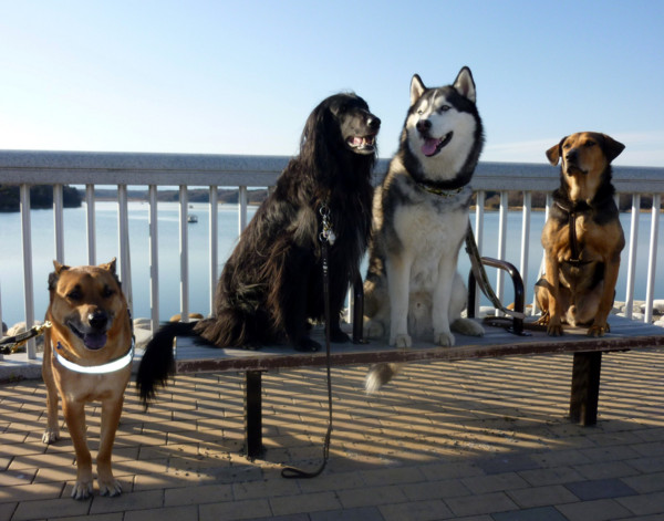 f:id:mamimami_LA:20110121145027j:image