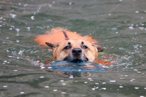 f:id:mamimami_LA:20110416130009j:image