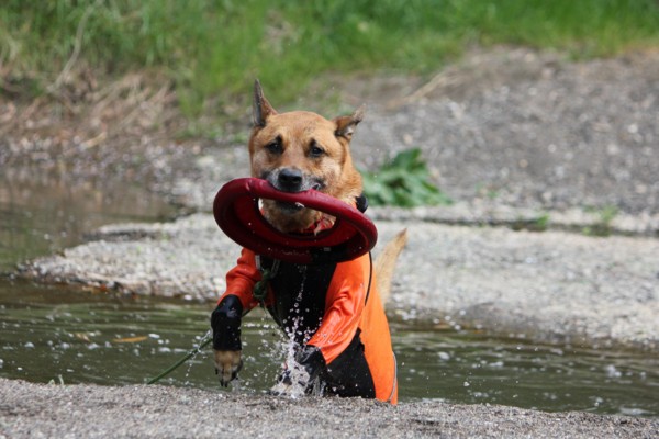 f:id:mamimami_LA:20110416131547j:image