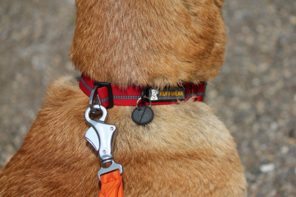 f:id:mamimami_LA:20110416133430j:image