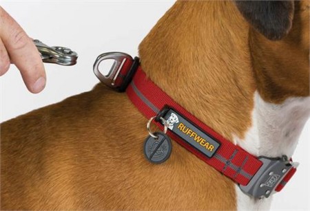 f:id:mamimami_LA:20110419064458j:image