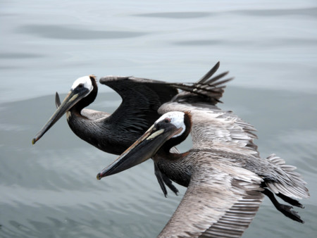 f:id:mamimami_LA:20110521104128j:image