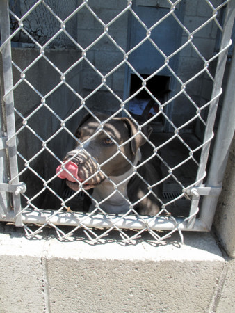 f:id:mamimami_LA:20110521122607j:image