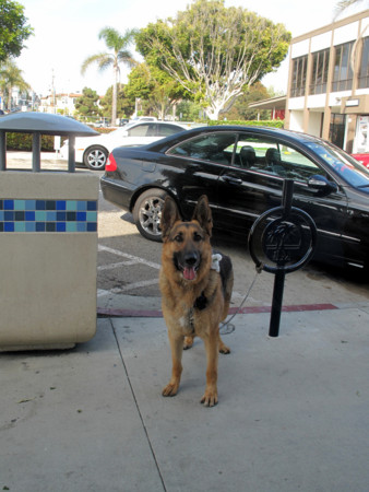 f:id:mamimami_LA:20110521161800j:image