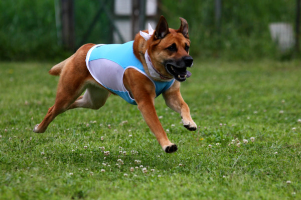 f:id:mamimami_LA:20110616173152j:image f:id:mamimami_LA:20110616173152j:image