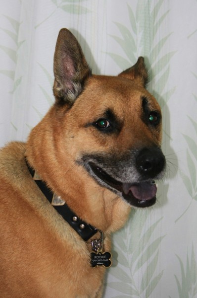 f:id:mamimami_LA:20110730182208j:image