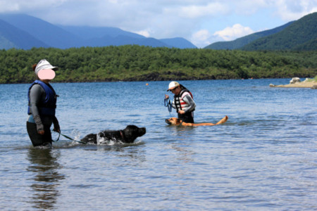 f:id:mamimami_LA:20110804173859j:image f:id:mamimami_LA:20110804173859j:image