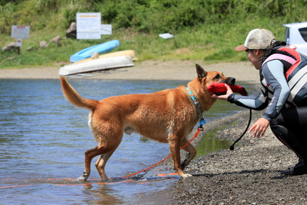 f:id:mamimami_LA:20110804180206j:image f:id:mamimami_LA:20110804180206j:image