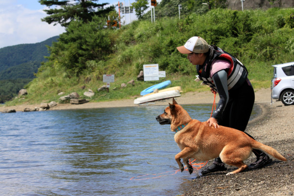 f:id:mamimami_LA:20110804180245j:image f:id:mamimami_LA:20110804180245j:image