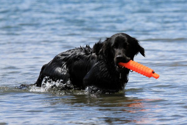 f:id:mamimami_LA:20110804180552j:image f:id:mamimami_LA:20110804180552j:image