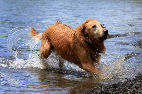 f:id:mamimami_LA:20110804185927j:image f:id:mamimami_LA:20110804185927j:image