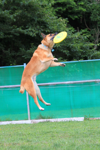 f:id:mamimami_LA:20110804211306j:image f:id:mamimami_LA:20110804211306j:image