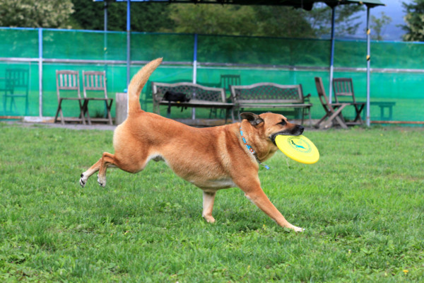 f:id:mamimami_LA:20110804211456j:image f:id:mamimami_LA:20110804211456j:image