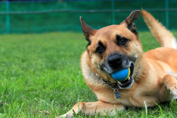 f:id:mamimami_LA:20110804212808j:image f:id:mamimami_LA:20110804212808j:image