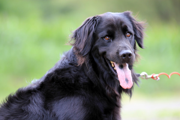 f:id:mamimami_LA:20110805104117j:image