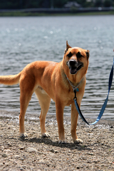 f:id:mamimami_LA:20110805171332j:image