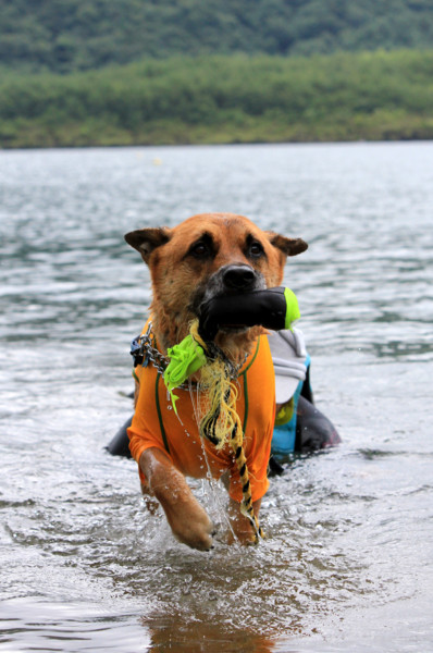 f:id:mamimami_LA:20110805184942j:image