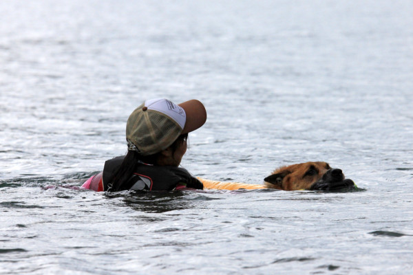 f:id:mamimami_LA:20110805185822j:image