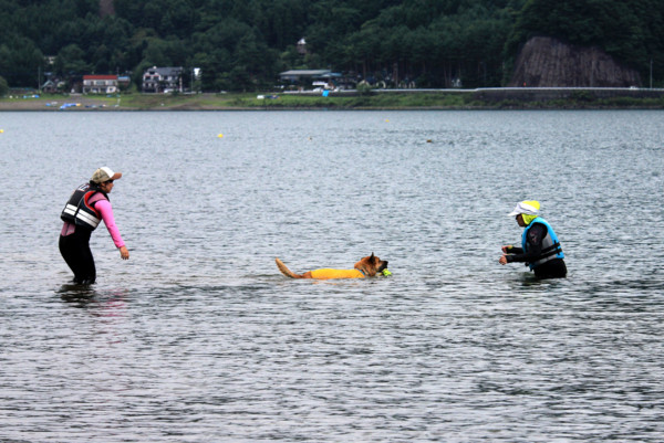 f:id:mamimami_LA:20110805191239j:image