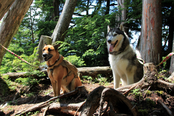 f:id:mamimami_LA:20110811183502j:image