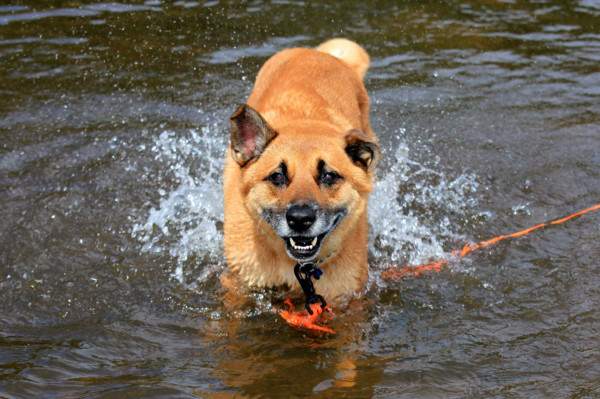 f:id:mamimami_LA:20110827163823j:image f:id:mamimami_LA:20110827163823j:image