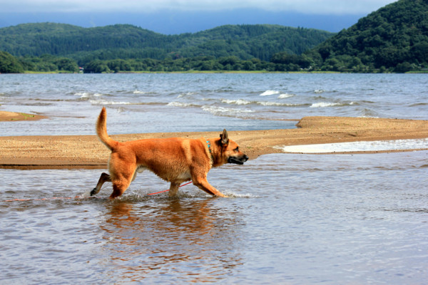 f:id:mamimami_LA:20110827163900j:image f:id:mamimami_LA:20110827163900j:image