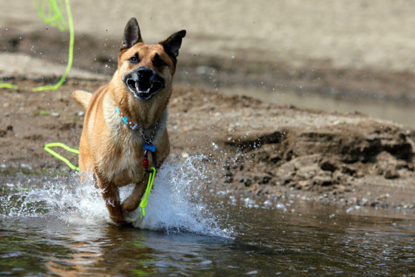 f:id:mamimami_LA:20110827171908j:image f:id:mamimami_LA:20110827171908j:image