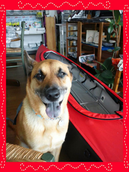 f:id:mamimami_LA:20110901194032j:image