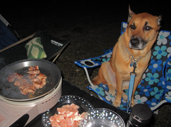 f:id:mamimami_LA:20110915011715j:image f:id:mamimami_LA:20110915011715j:image