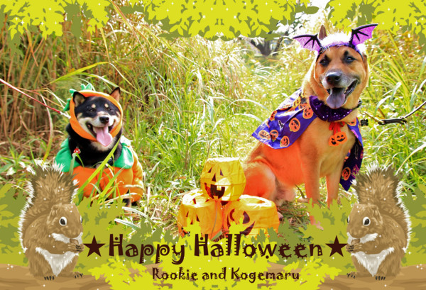 f:id:mamimami_LA:20111017132754j:image