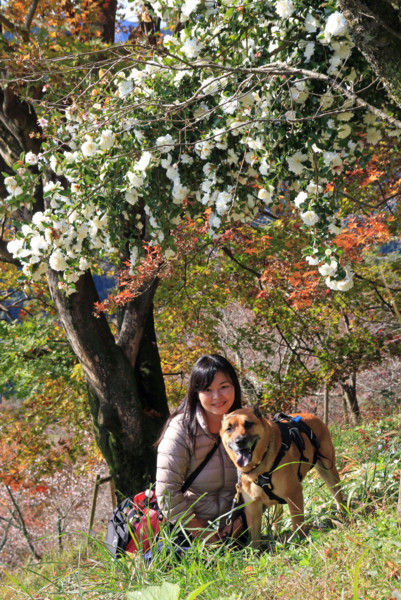 f:id:mamimami_LA:20111120174438j:image