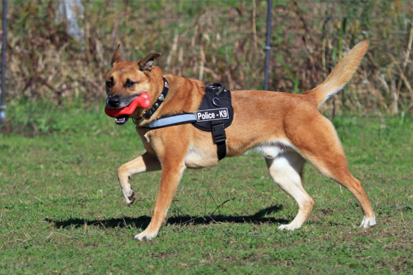 f:id:mamimami_LA:20111121103528j:image