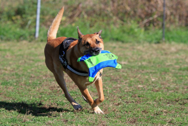 f:id:mamimami_LA:20111121183414j:image