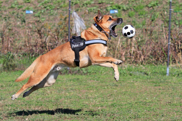 f:id:mamimami_LA:20111121184700j:image