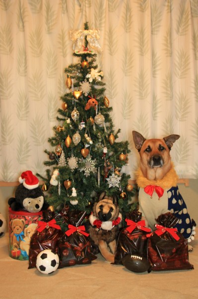 f:id:mamimami_LA:20111209004922j:image